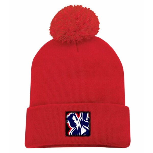 ABS Toque with Pom Pom